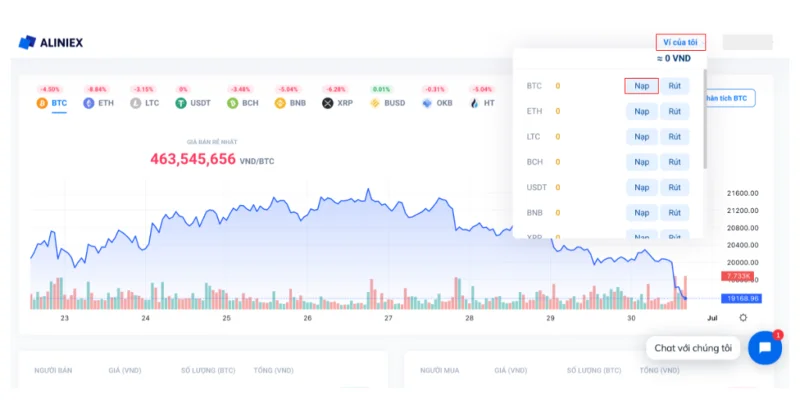 Qu'est-ce que le sol Alinex ?  Le guide le plus complet du trading sur Aliniex (2022)