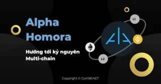 Alpha Homora - Op weg naar het tijdperk met meerdere ketens