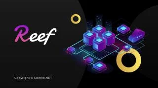 Что такое Reef Finance (REEF)? Криптовалюта REEF и её будущее в мире DeFi