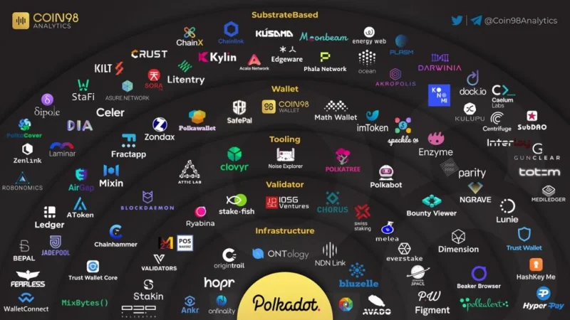 ¿Qué es el ecosistema en Crypto?  ¿Por qué cada Blockchain necesita un ecosistema?