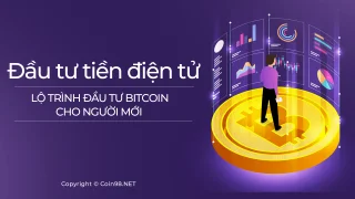 Inversión en criptomonedas: hoja de ruta de inversión en Bitcoin para novatos (detalles)