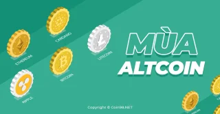 알트코인 시즌이란? 다가오는 Altcoin 시즌의 징후