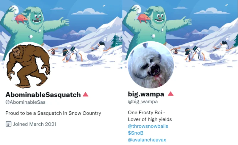 Was ist Schneeball (SNOB)?  Alles, was Sie über SNOB wissen müssen