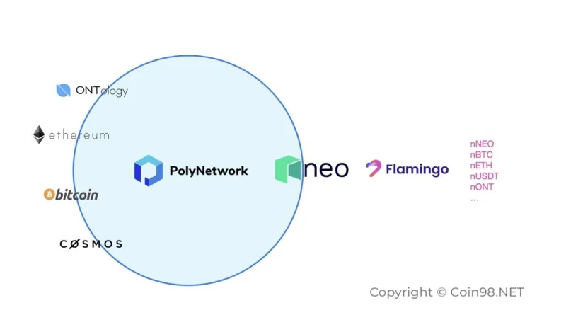 ما هو فلامنغو (FLM)؟  تعرف على منتجات DeFi الجديدة على Blockchain Neo Flamingo