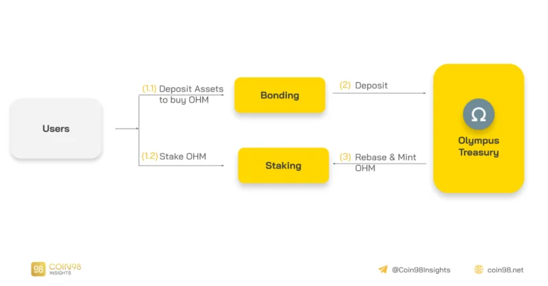Analyse van operationeel model Olympus DAO - Is het multi-level model zoals gerucht?