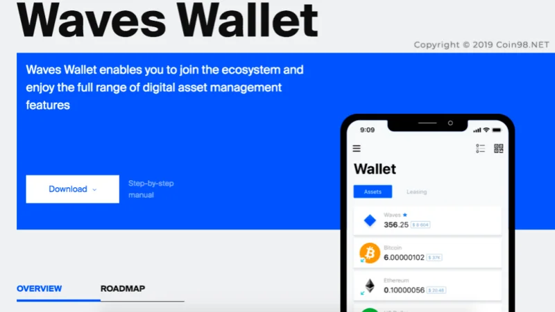 ¿Qué son las ondas?  Serie completa de criptomonedas WAVES