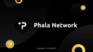 Phala Network คืออะไร? ชุดสมบูรณ์ของ cryptocurrencies PHA, K-PHA
