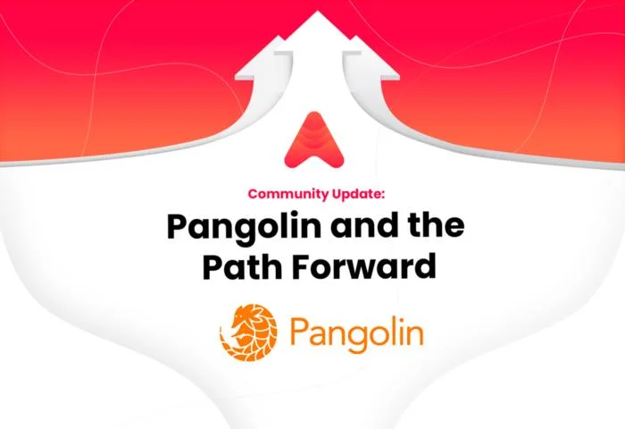 Wat is lawine?  Launchpad van Avalanche Ecosystem & Token Sale op Pangolin