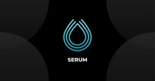 セラムビジョン（SRM）で開発