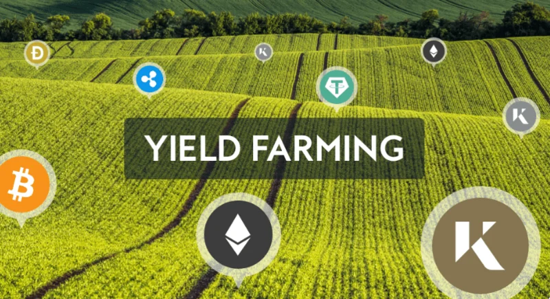 ¿Qué es la agricultura de rendimiento?  ¿Cómo funciona la agricultura de rendimiento?  (2022)