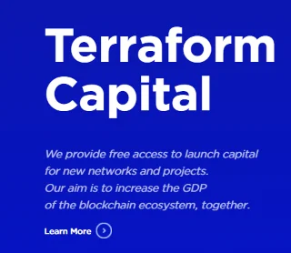 Perspectiva #11: O que aprender com o ecossistema Terra Blockchain (LUNA)