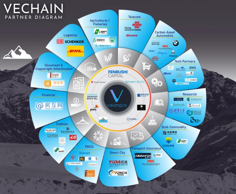 Mitra Vechain