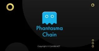ファンタズマチェーン（SOUL）とは何ですか？SOUL Cryptocurrency Complete