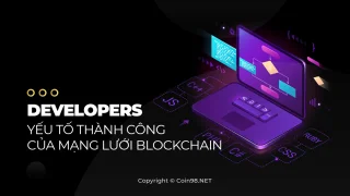 Desenvolvedores - Fator de sucesso da rede blockchain