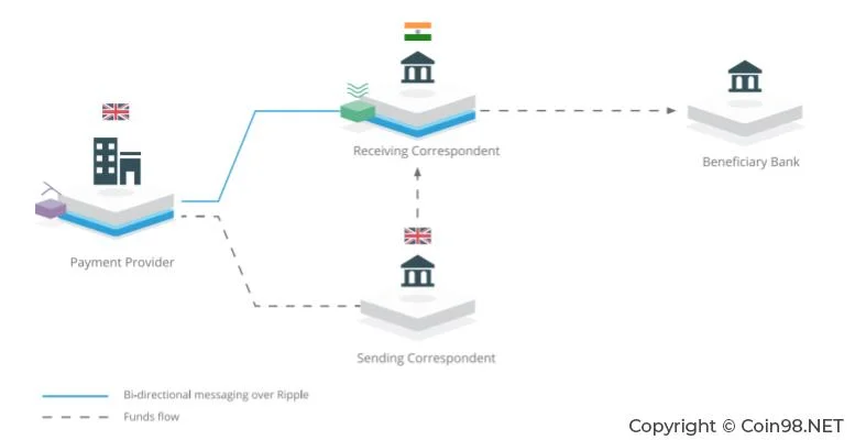 Qu'est-ce que Ripple, XRP ?  Ripple complet et XRP (détails)