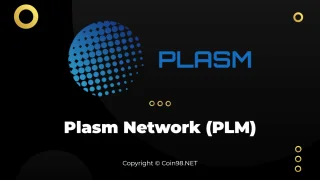Was ist Plasma Network (PLM)? PLM Kryptowährung abgeschlossen