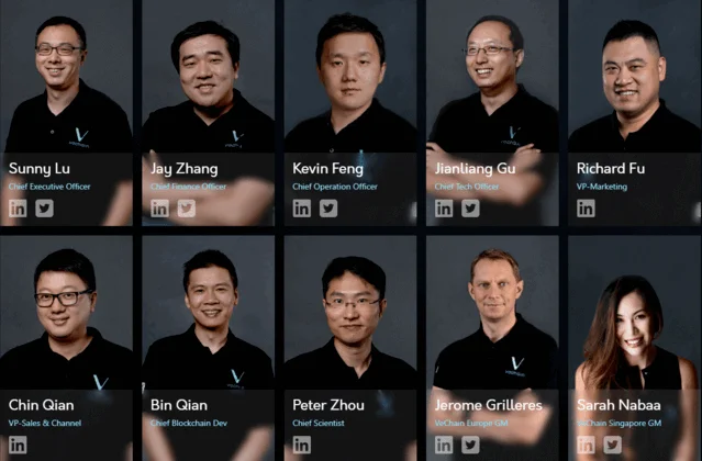 Tim Vechain