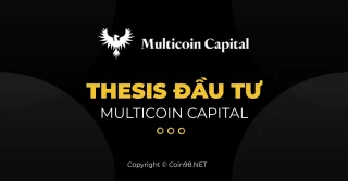 Scriptie Investering: Multicoin Capital