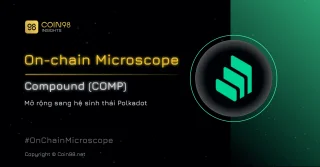 Compound Finance (COMP) On-chain Analytics - Uitbreiding naar het Polkadot-ecosysteem