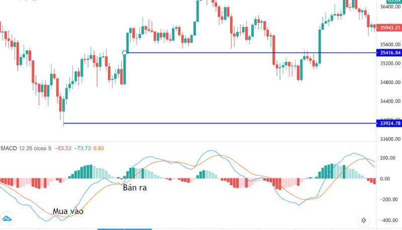 Co to jest MACD?  Jak handlować z MACD