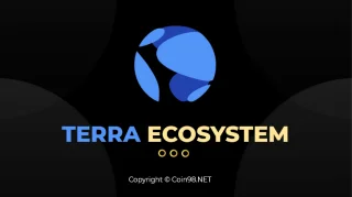 Terra Ecosystem será una nueva fuerza?