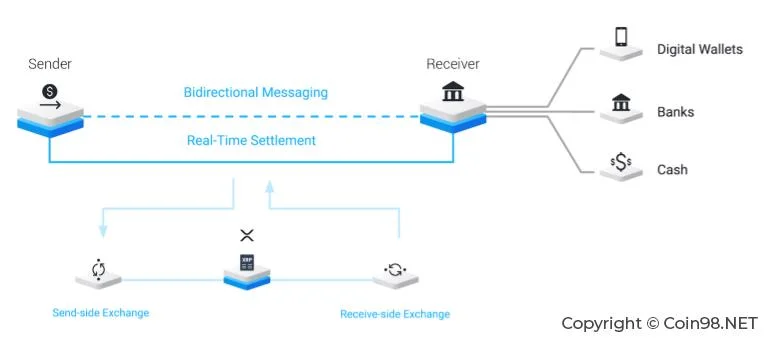 Qu'est-ce que Ripple, XRP ?  Ripple complet et XRP (détails)