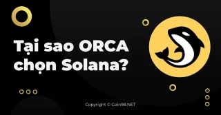 Waarom koos de orka voor Solana?