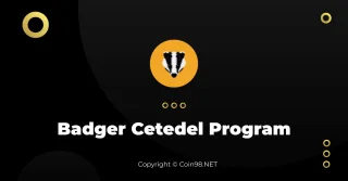 Nuevo sistema de incentivos de Badger: Badger Cetedel Program
