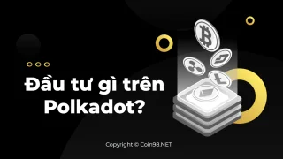 Wat te investeren op Polkadot?