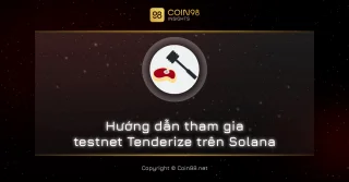 Las instrucciones para participar en la red de prueba Tenderize en Solana son detalladas y fáciles de entender
