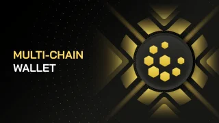 Apa itu Dompet Multi-Rantai? Cara membuat dan menggunakan Dompet Multi-Rantai
