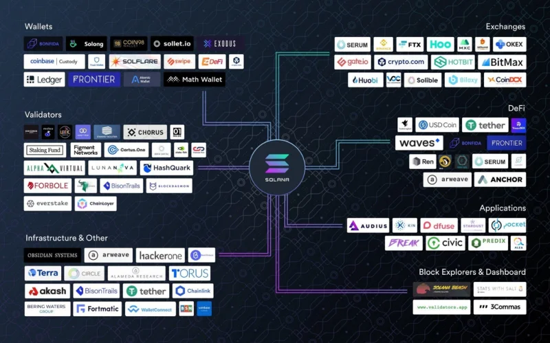 Apakah itu Pembangun Blockchain?  Talian Hayat Rantaian Sekat