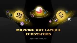 Laag 2-ecosystemen in kaart brengen - Overzicht laag 2-ecosystemen