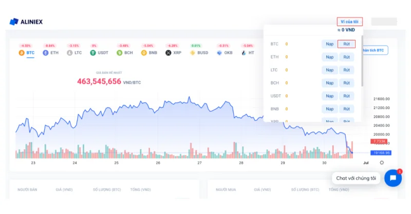 Qu'est-ce que le sol Alinex ?  Le guide le plus complet du trading sur Aliniex (2022)