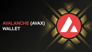 Apa itu dompet Avalanche? Cara membuat & menggunakan Avalanche Wallet