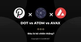 DOT vs ATOM vs AVAX - ¿Quién es el ganador?