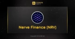 Sinir Finansmanı (NRV) Nedir? Kripto Para Birimlerinin Yeni Seti