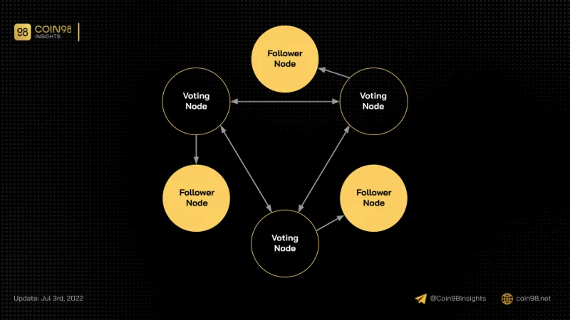 Explicación del nodo Blockchain: ¿Qué es un nodo?  ¿Cómo funcionan los nodos?