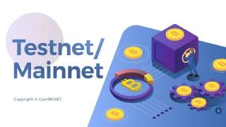 Ce este Mainnet și Testnet? 03 Pași de bază atunci când faceți Testnet