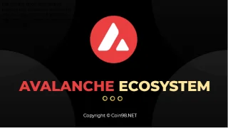 Avalanche Ecosystem explota con fuerza después de solo 4 meses