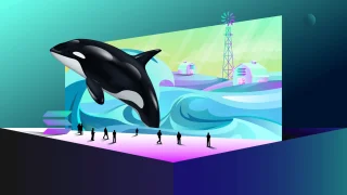 솔라나 파노라마 #20 | Orca 에어드랍 및 Solana에서의 파밍 기회