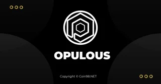 Wat is Opulous? Complete set van Opulous-project