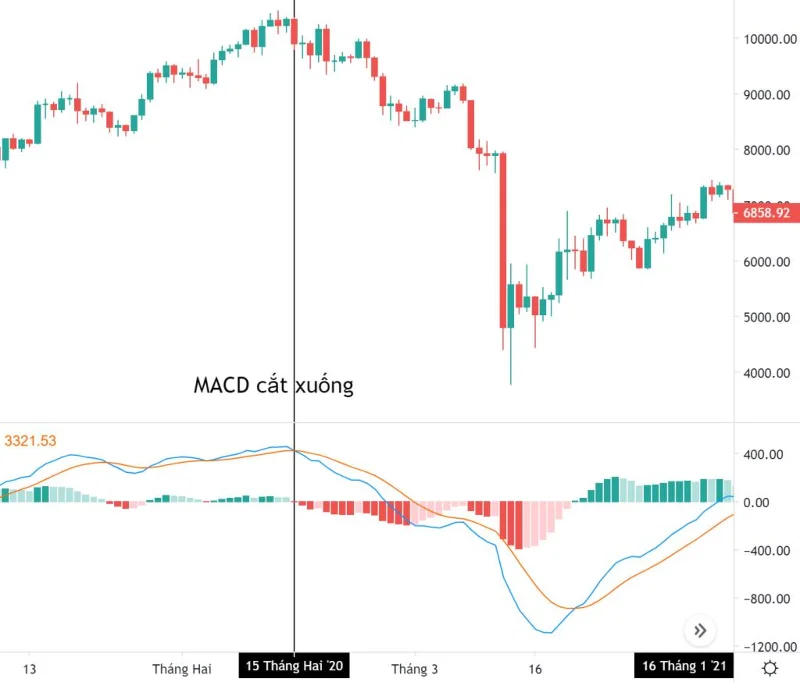 Co to jest MACD?  Jak handlować z MACD