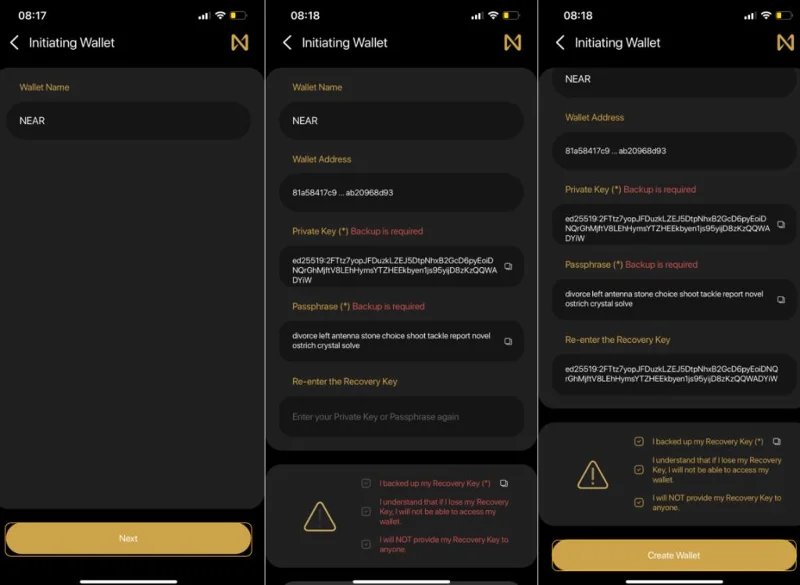 Wat is Near Wallet?  Instructies voor het maken en gebruiken van Near wallet (2022)