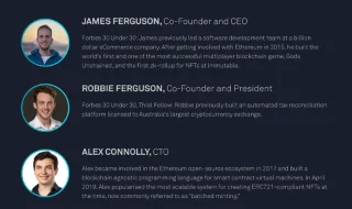 Wat is onveranderlijk X? Complete set onveranderlijke X- en IMX-tokentokens