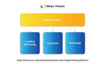 스트립 금융이란 무엇입니까? $STRP 토큰에 대한 완전한 정보