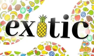 이국적인 시장이란 무엇입니까? 이국적인 시장 및 EXO 토큰에 대해 알아야 할 사항