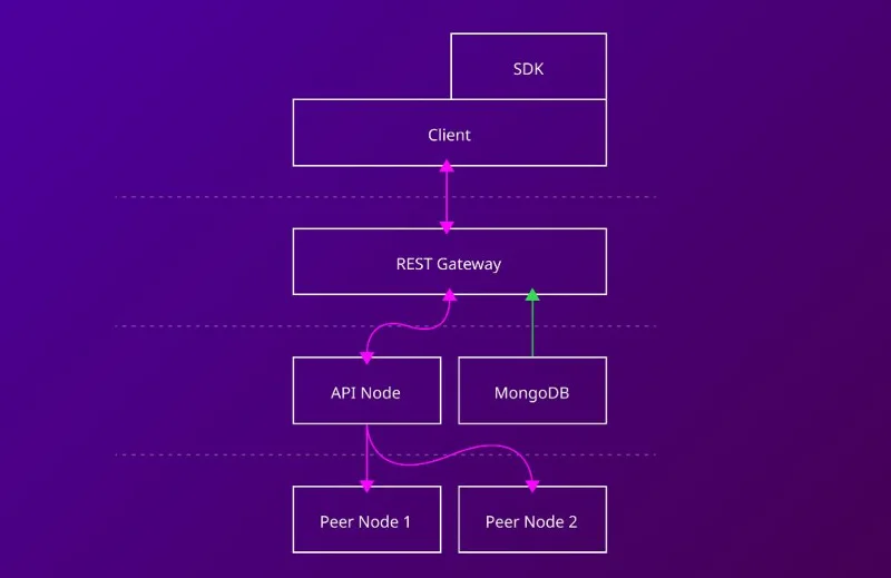 Apa itu Simbol (XYM)?  Tinjauan mendetail tentang token XYM