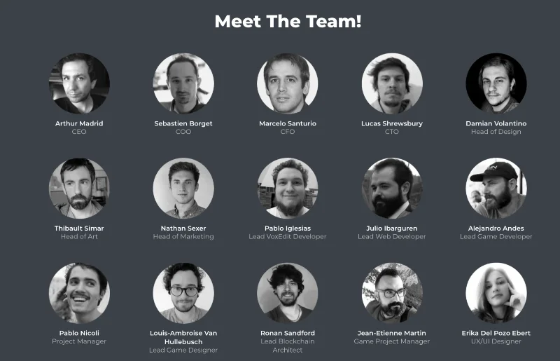 Команда разработчиков проекта Sandbox