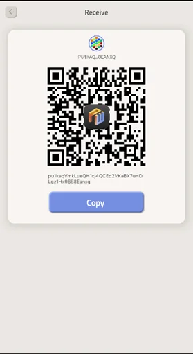 Apa itu Dompet Polkawallet?  Instruksi terperinci untuk menggunakan dompet Polkavallet